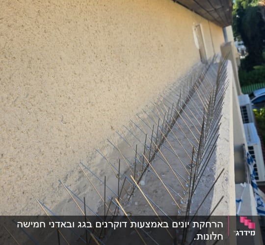 דוקרנים למניעת יונים על קיר חיצוני